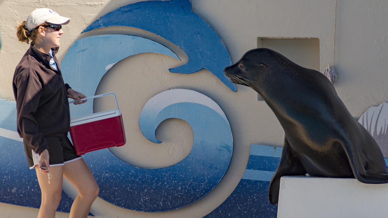 20160217-123250••Fort Walton Beach•Florida•USA